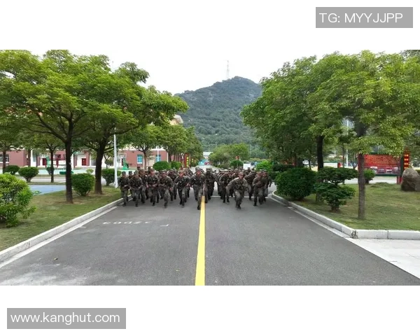 南京排球队转型纪实：从传统到现代的奋斗与蜕变之路